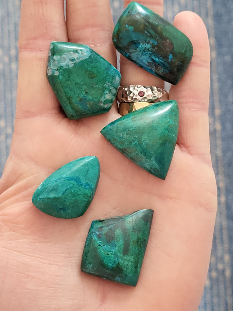 "Selva Sagrada" – Heilige Wildnis